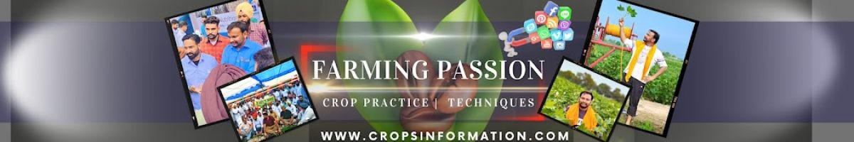 Crops Information