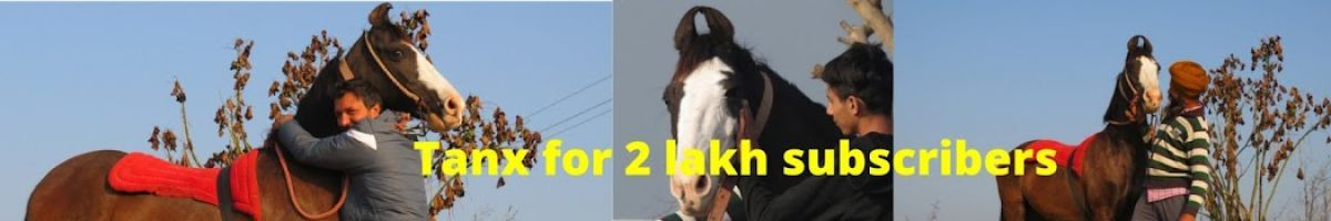Shonki Sardar